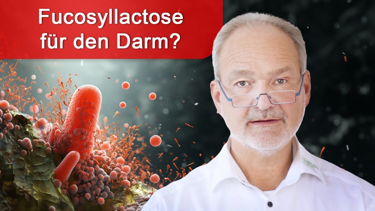 Video-Vorschaubild: Gesunder Darm, gesunder Körper: Fucosyllactose in der Ernährung des Säuglings und der Erwachsenen gesunder darm gesunder koerper f
